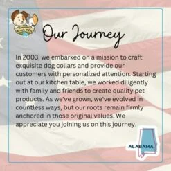 Country Brook Petz HossFit Jr Wide Martingale Dog Collar - Geek Chic Collection -Pet Supplies Online GUEST 009c18ed b684 4d83 9763 67d7a5b3478a