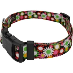Country Brook Petz Daisy Fields Deluxe Dog Collar And Leash