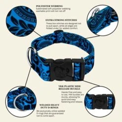 Country Brook Petz HossFit Jr Wide Deluxe Dog Collar - Attitude Collection -Pet Supplies Online GUEST 010e17fe 8838 4e53 9702 750ee1c14c43