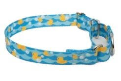 Country Brook Petz Just Ducky Martingale Dog Collar -Pet Supplies Online GUEST 018e7fd8 d5cd 454d ada9 af749c07aed9