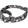Country Brook Petz Phantom Skulls Martingale Dog Collar (1 Inch, Medium) -Pet Supplies Online GUEST 01edc17f e974 4e96 93b8 14f7a342b9c8