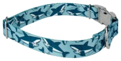 Country Brook Petz Premium Sharks Dog Collar -Pet Supplies Online GUEST 0263321f f23f 4481 9206 c47f5c6fd569