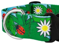 Country Brook Petz 1 1/2 Inch Deluxe Ladybug Picnic Dog Collar -Pet Supplies Online GUEST 0296120d d5a2 41c0 8b46 ee3f0af1bdd5
