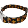 Country Brook Petz Premium Happy Jack Dog Collar 1 Country Brook Petz Premium Happy Jack Dog Collar -Pet Supplies Online GUEST 02a1f820 7588 4345 a37f afc73cd40bc0 1