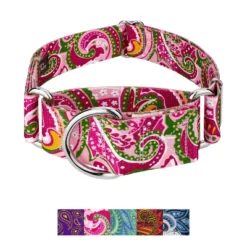 Country Brook Petz HossFit Jr Wide Martingale Dog Collar - Paisley Collection 21 Country Brook Petz HossFit Jr Wide Martingale Dog Collar - Paisley Collection -Pet Supplies Online GUEST 033b0d5a f429 40e0 b49d 74e8dce8fcc8