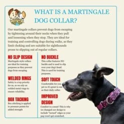 Country Brook Petz Martingale Dog Collar - Attitude Collection -Pet Supplies Online GUEST 0340d459 dbae 4c0a 97c6 12e8326a0058