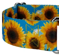 Country Brook Petz 1 1/2 Inch Sunflowers Martingale Dog Collar -Pet Supplies Online GUEST 038eeb55 55e4 4d9b 9226 92962e59e198