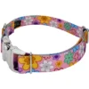 Country Brook Petz Premium May Flowers Dog Collar -Pet Supplies Online GUEST 03cea006 5e86 48e7 9763 b42268eb5ccb