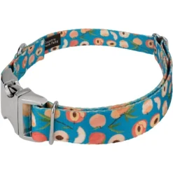 Country Brook Petz Premium Dog Collar - Tasty Collection -Pet Supplies Online GUEST 041e47a9 0434 45dc bf8a 1e8fee54e371