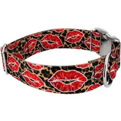 Country Brook Petz HossFit Jr Wide Premium Dog Collar - Affection Collection -Pet Supplies Online GUEST 050e8a43 cdd9 416f be74 9cb18e19fd5f