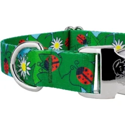 Country Brook Petz Premium Ladybug Picnic Dog Collar -Pet Supplies Online GUEST 0536ccd8 1d62 4a02 9e25 5b90bbd8402d