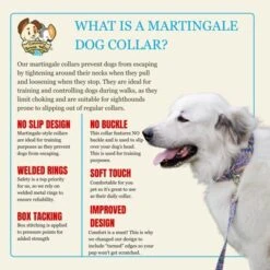 Country Brook Petz HossFit Jr Wide Martingale Dog Collar - Groovy Collection 13 Country Brook Petz HossFit Jr Wide Martingale Dog Collar - Groovy Collection -Pet Supplies Online GUEST 05b0ea2f 3467 4d2e 8a82 a1364287d4f7