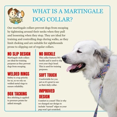 Country Brook Petz HossFit Jr Wide Martingale Dog Collar - Groovy Collection 6 Country Brook Petz HossFit Jr Wide Martingale Dog Collar - Groovy Collection - Image 4