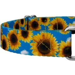 Country Brook Petz Sunflowers Martingale Dog Collar 9 Country Brook Petz Sunflowers Martingale Dog Collar -Pet Supplies Online GUEST 05b8c9b6 3bb1 4193 81d8 3179b8603401