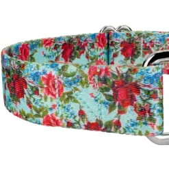 Country Brook Petz Vintage Roses Martingale Dog Collar -Pet Supplies Online GUEST 05e292d5 5452 417f 9756 daa9e3bf24ea