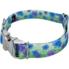 Country Brook Petz Premium Dog Collar - Spring Collection -Pet Supplies Online GUEST 0613bb0e 63d4 4bcc b485 7e8241e4a46a