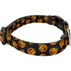 Country Brook Petz Happy Jack Deluxe Dog Collar And Leash -Pet Supplies Online GUEST 064160f9 fea4 42d6 9e2d 21084e77b8b3