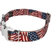 Country Brook Petz Premium Patriotic Tribute Dog Collar