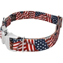Country Brook Petz Premium Patriotic Tribute Dog Collar