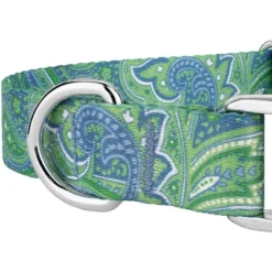 Country Brook Petz Premium Green Paisley Collar And Leash -Pet Supplies Online GUEST 07f8e4be 44c6 4c53 82f9 b78eb36b3cec