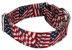 Country Brook Petz 1 1/2 Inch Patriotic Tribute Martingale Dog Collar -Pet Supplies Online GUEST 08addb4e 7c08 42ad 8e73 1492d0cf5d93