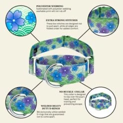 Country Brook Petz HossFit Jr Wide Martingale Dog Collar - Spring Collection -Pet Supplies Online GUEST 098a8630 e6f4 4588 9a81 b1c45965bb37