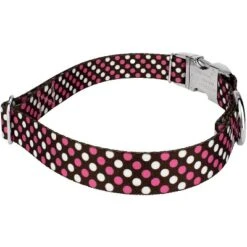 Country Brook Petz Premium Shibuya Dog Collar Limited Edition -Pet Supplies Online GUEST 09aca181 962a 4030 b9aa 32a1a0b7fb3e