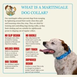 Country Brook Petz HossFit Jr Wide Martingale Dog Collar - Camouflage Collection -Pet Supplies Online GUEST 0a2a5855 bea2 4ab0 a01a 41b2f64b74a9