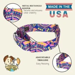 Country Brook Petz HossFit Jr Wide Martingale Dog Collar - Groovy Collection 15 Country Brook Petz HossFit Jr Wide Martingale Dog Collar - Groovy Collection -Pet Supplies Online GUEST 0a468d6f afd6 4259 83df 422a340385e1