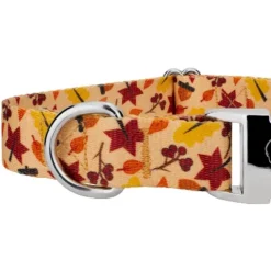 Country Brook Petz Premium Fall Foliage Dog Collar And Leash -Pet Supplies Online GUEST 0a71d941 a72d 4b7a 8678 7d5db76d1f87 1