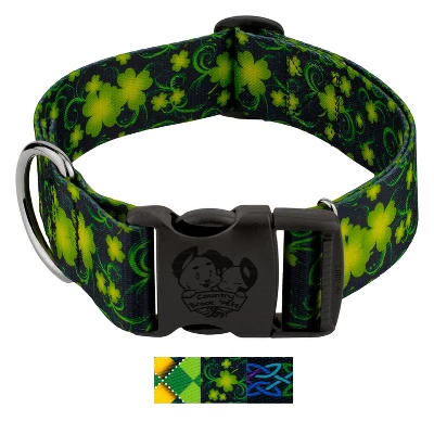 Country Brook Petz HossFit Jr Wide Deluxe Dog Collar - Irish Pride Collection 6 Country Brook Petz HossFit Jr Wide Deluxe Dog Collar - Irish Pride Collection - Image 4