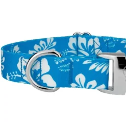 Country Brook Petz Premium Blue Hawaiian Dog Collar -Pet Supplies Online GUEST 0ac08626 5141 464d 8dea babbb9e76c66