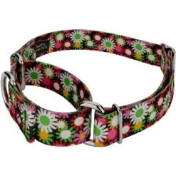 Country Brook Petz Daisy Fields Martingale Dog Collar 14 Country Brook Petz Daisy Fields Martingale Dog Collar -Pet Supplies Online GUEST 0af99beb 3cb4 4b8f 93d6 c4164392ad63