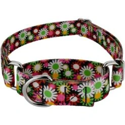Country Brook Petz Daisy Fields Martingale Dog Collar 19 Country Brook Petz Daisy Fields Martingale Dog Collar -Pet Supplies Online GUEST 0b08fa8c fa8f 48bf 9dac 890106dff489