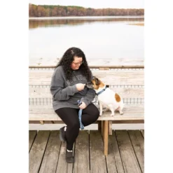 Country Brook Petz Deluxe Dog Collar - Critter Corner Collection - Made In The U.S.A. -Pet Supplies Online GUEST 0b691fbe 9fb8 4ee3 a023 061a05e4f8aa