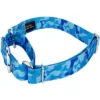 Country Brook Petz Blue Bone Camo Martingale Dog Collar -Pet Supplies Online GUEST 0bc09686 3c9c 4794 822a 1b92ed6558bf