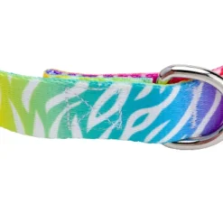 Country Brook Petz Premium Fashion Zebra Dog Collar -Pet Supplies Online GUEST 0bf691c9 4526 46c5 85cd 4af4cfe3ac0d
