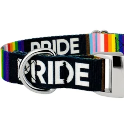 Country Brook Petz Premium Pride Dog Collar And Leash -Pet Supplies Online GUEST 0c026257 4357 4a90 9ccd 9cf3c720d86c