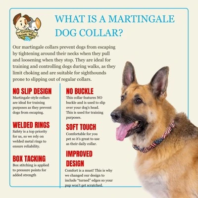 Country Brook Petz HossFit Jr Wide Martingale Dog Collar - Americana Collection 5 Country Brook Petz HossFit Jr Wide Martingale Dog Collar - Americana Collection - Image 3