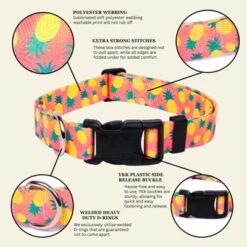 Country Brook Petz Deluxe Dog Collar - Made In The U.S.A. - Tasty Collection -Pet Supplies Online GUEST 0c5bde96 6015 4e22 813a 4196fda4b102