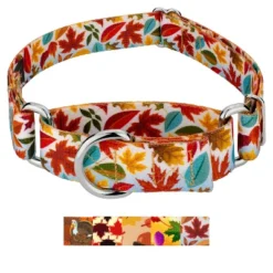 Country Brook Petz Martingale Dog Collar - Awesome Autumn Collection -Pet Supplies Online GUEST 0c73ae30 1069 4b6d 8a8e 5e44bb3f43e2