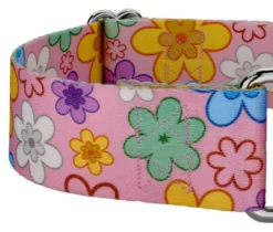 Country Brook Petz 1 1/2 Inch May Flowers Martingale Dog Collar -Pet Supplies Online GUEST 0cc6582f bb19 4659 96ad 5901a449889d