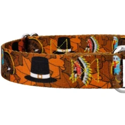 Country Brook Petz Thanksgiving Tradition Martingale Dog Collar -Pet Supplies Online GUEST 0e1ed2fd 530d 4320 96cb 7e36ea562d3b