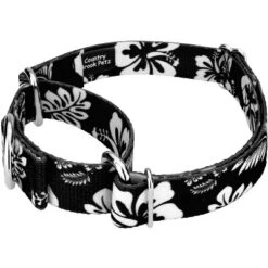 Country Brook Petz - Black Hawaiian Martingale Dog Collar 11 Country Brook Petz - Black Hawaiian Martingale Dog Collar -Pet Supplies Online GUEST 0e3d70f5 f401 4097 9df8 c3fa41e79513