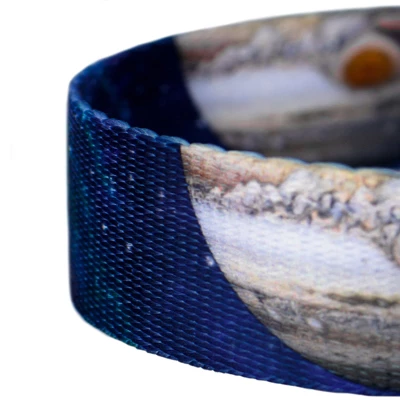 Country Brook Petz Galactic Neighbors Dog Leash (6 Foot, 1 Inch) 5 Country Brook Petz Galactic Neighbors Dog Leash (6 Foot, 1 Inch) - Image 3