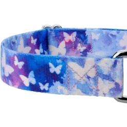 Country Brook Petz - Watercolor Butterflies Martingale Dog Collar -Pet Supplies Online GUEST 0f772ab0 99e1 4a24 8b85 63274566c8f9