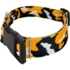 Country Brook Petz HossFit Jr Wide Deluxe Dog Collar - Sports And Athletics Collection -Pet Supplies Online GUEST 0fa7bb05 6bc2 466d b9cc d623d89c0d20
