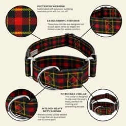 Country Brook Petz HossFit Jr Wide Martingale Dog Collar - Plaid And Argyle Collection 16 Country Brook Petz HossFit Jr Wide Martingale Dog Collar - Plaid And Argyle Collection -Pet Supplies Online GUEST 105ad6b4 c0c9 448f 9247 69f04efca89d