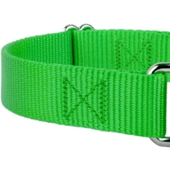 Country Brook Design Martingale Heavyduty Nylon Dog Collar And Double Handle Leash 11 Country Brook Design Martingale Heavyduty Nylon Dog Collar And Double Handle Leash -Pet Supplies Online GUEST 105d9968 f2d8 4c79 876a b366234b9c50
