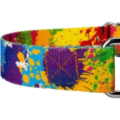 Country Brook Petz Paint Splatter Martingale Dog Collar -Pet Supplies Online GUEST 106439ed a346 44b1 9561 811f5d5f1f3a
